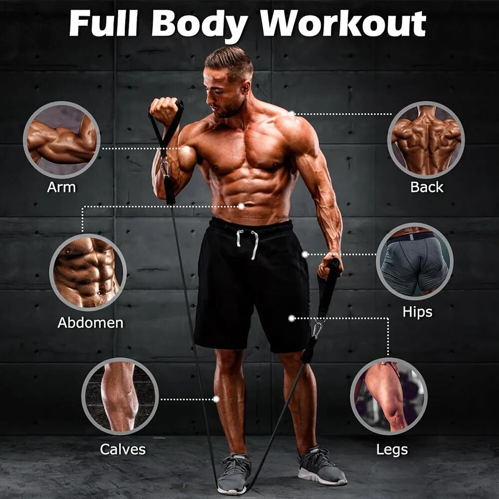 Set Pita Resistensi, Tali Tari - Home Gym Equipment Set ulasan dan harga